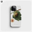 1-26_Pomona-Italiana_phone