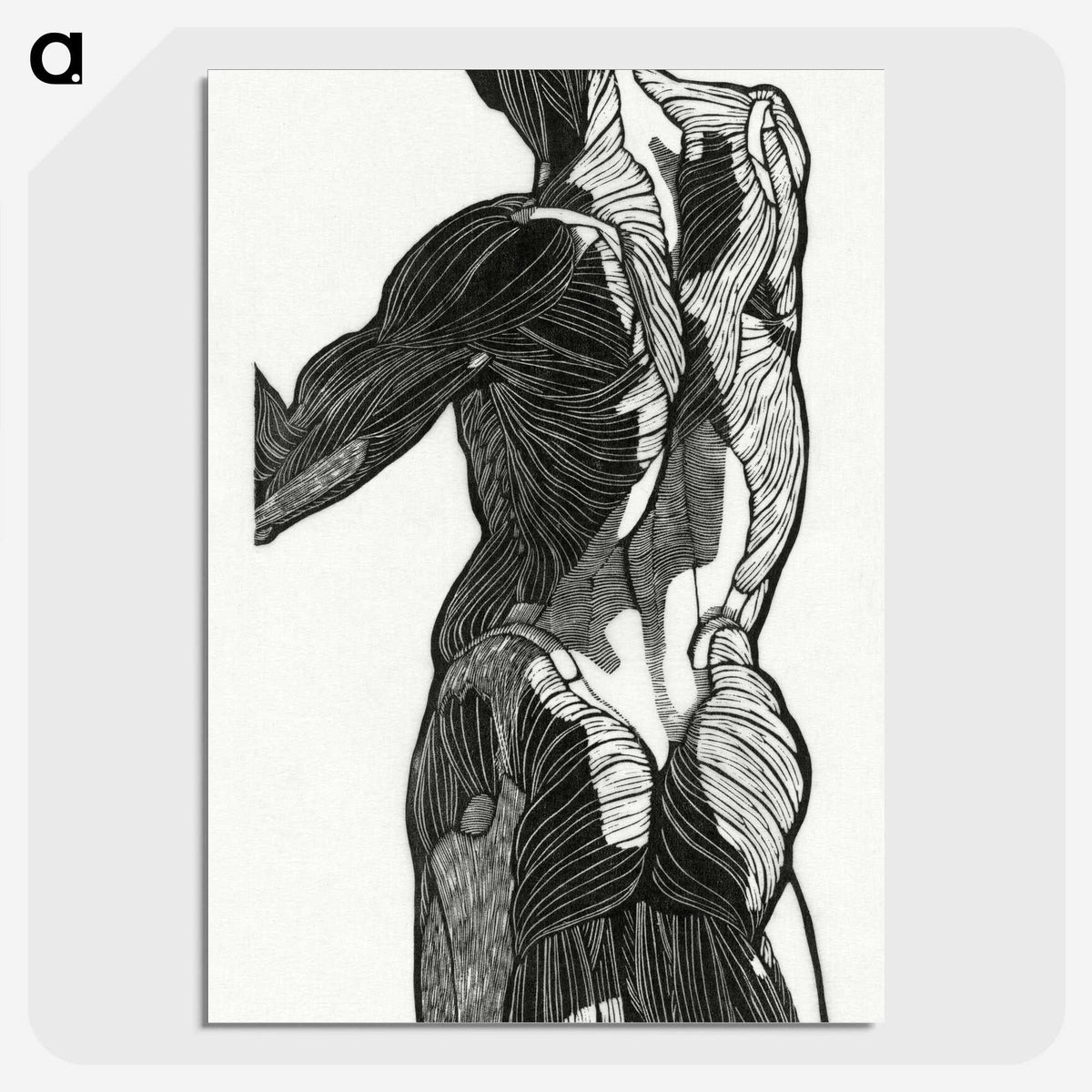 1-26_Reijer-Stolk_picture-crop