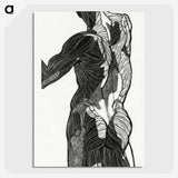 1-26_Reijer-Stolk_picture-crop