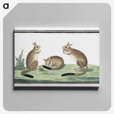 1-26_Robert-Jacob-Gordon_canvas