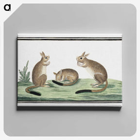 1-26_Robert-Jacob-Gordon_canvas