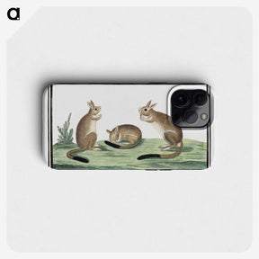 1-26_Robert-Jacob-Gordon_phone