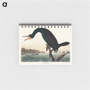 アートメモ帳-Florida Cormorant from Birds of America
 - アメリカの鳥たち Memo.