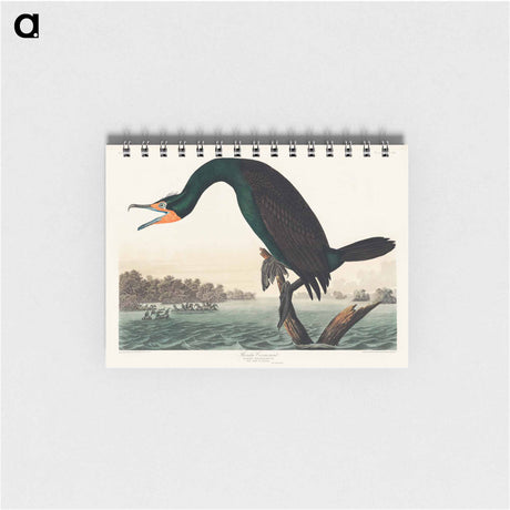 アートメモ帳-Florida Cormorant from Birds of America
 - アメリカの鳥たち Memo.