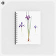 アートメモ帳-Iris Reticulata, Iris Histrio var. Orthopetala and Iris Bakeriana from The genus Iris
 - アヤメ属 Memo.