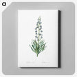 1-26_The-Lilies_canvas