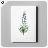 1-26_The-Lilies_canvas