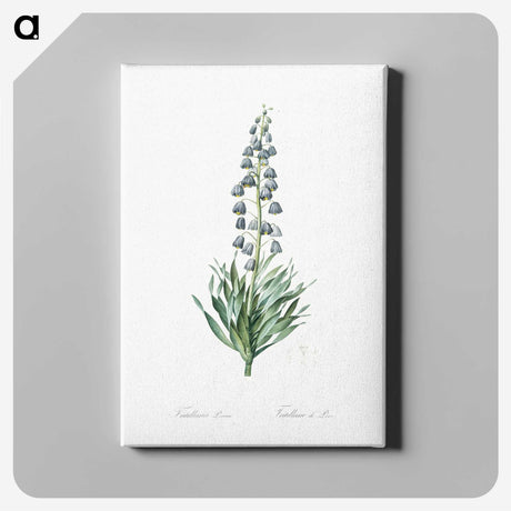 1-26_The-Lilies_canvas