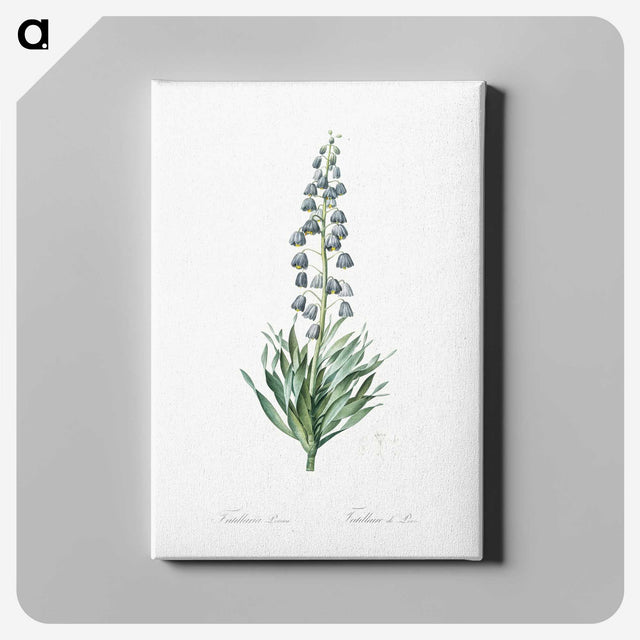 1-26_The-Lilies_canvas
