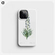 1-26_The-Lilies_phone