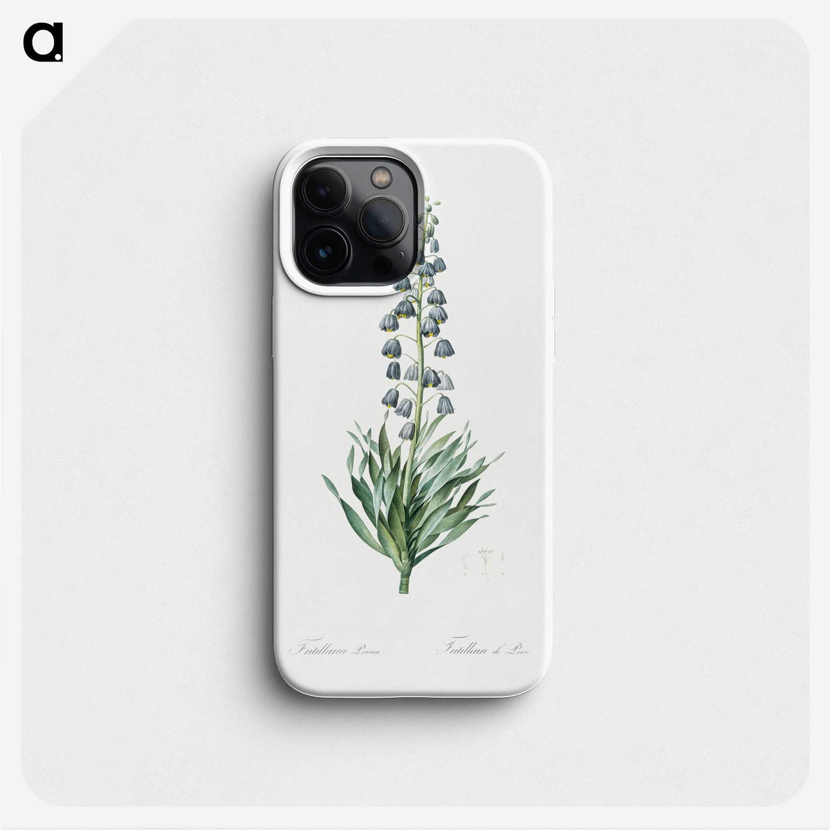 1-26_The-Lilies_phone