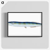 1-26_The-Natural-History-of-British-Fishes_blk-crop