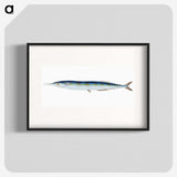 1-26_The-Natural-History-of-British-Fishes_blk