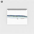 1-26_The-Natural-History-of-British-Fishes_memo