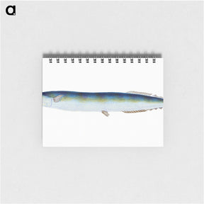 1-26_The-Natural-History-of-British-Fishes_memo
