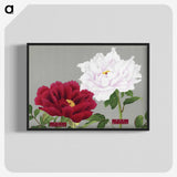 1-26_The-Picture-Book-of-Peonies_blk-crop
