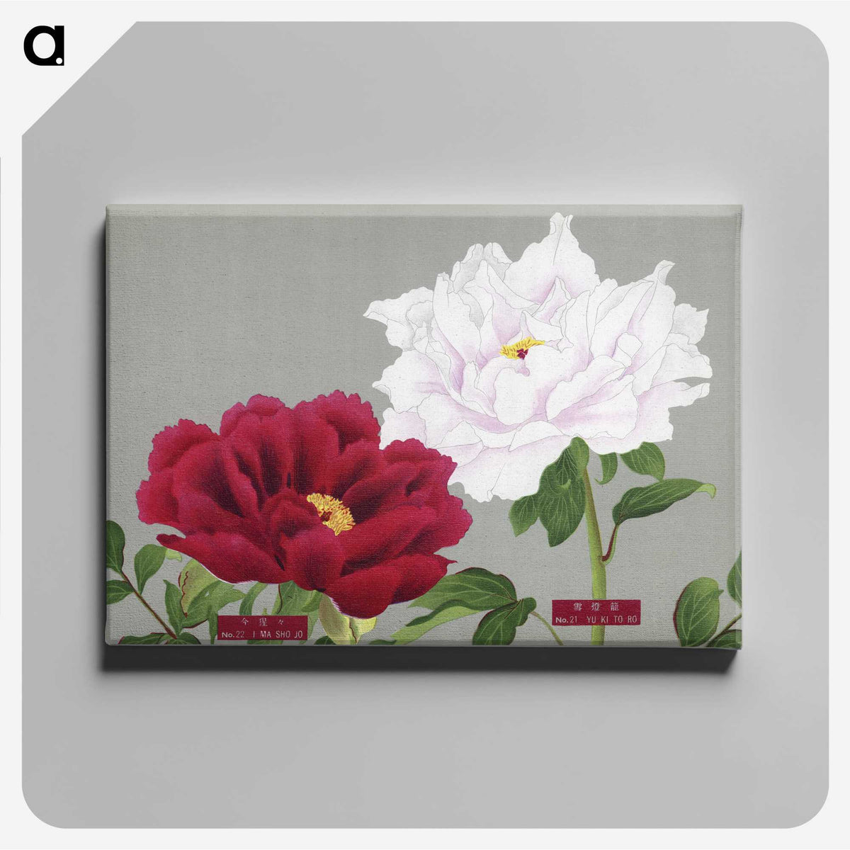 1-26_The-Picture-Book-of-Peonies_canvas