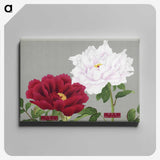 1-26_The-Picture-Book-of-Peonies_canvas