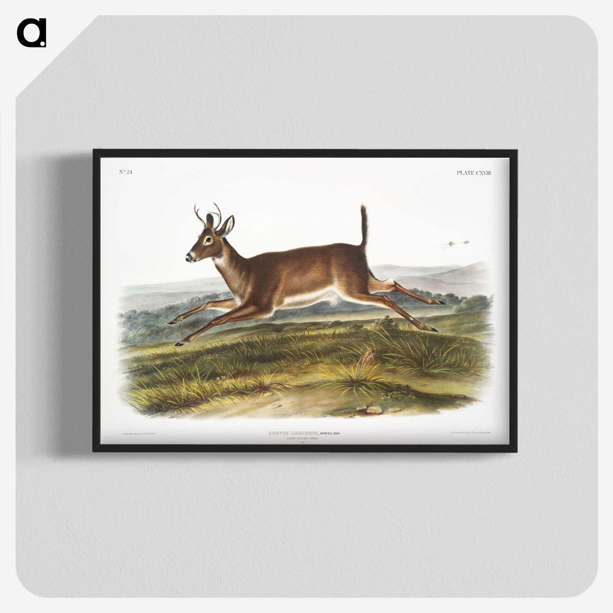 1-26_The-Viviparous-Quadrupeds_blk-crop
