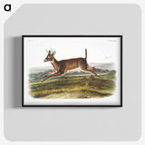 1-26_The-Viviparous-Quadrupeds_blk-crop