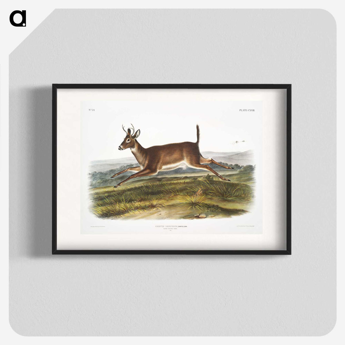 1-26_The-Viviparous-Quadrupeds_blk