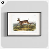 1-26_The-Viviparous-Quadrupeds_blk