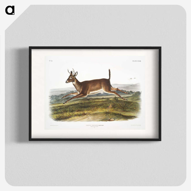 1-26_The-Viviparous-Quadrupeds_blk