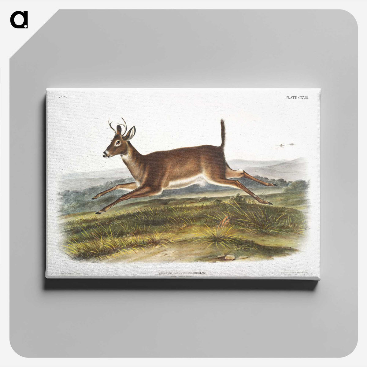 1-26_The-Viviparous-Quadrupeds_canvas
