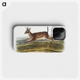 1-26_The-Viviparous-Quadrupeds_phone