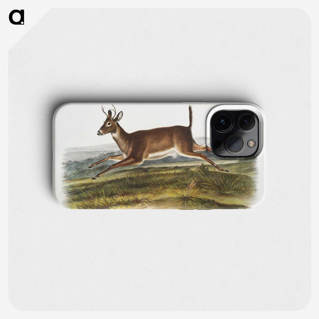 1-26_The-Viviparous-Quadrupeds_phone