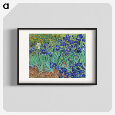アイリス／フィンセント・ファン・ゴッホ