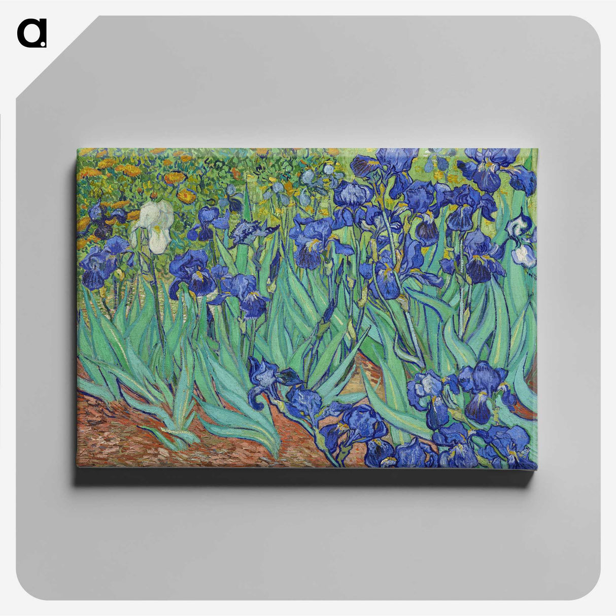 1-26_Vincent-van-Gogh_canvas