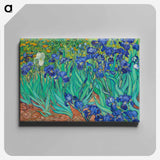 Irises - Vincent van Gogh Canvas.