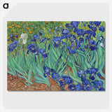 1-26_Vincent-van-Gogh_picture-crop