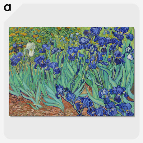 1-26_Vincent-van-Gogh_picture-crop