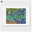 1-26_Vincent-van-Gogh_picture