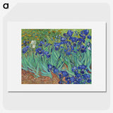1-26_Vincent-van-Gogh_picture