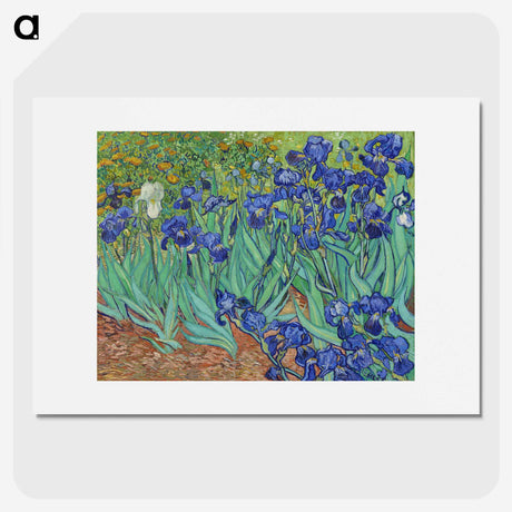 1-26_Vincent-van-Gogh_picture