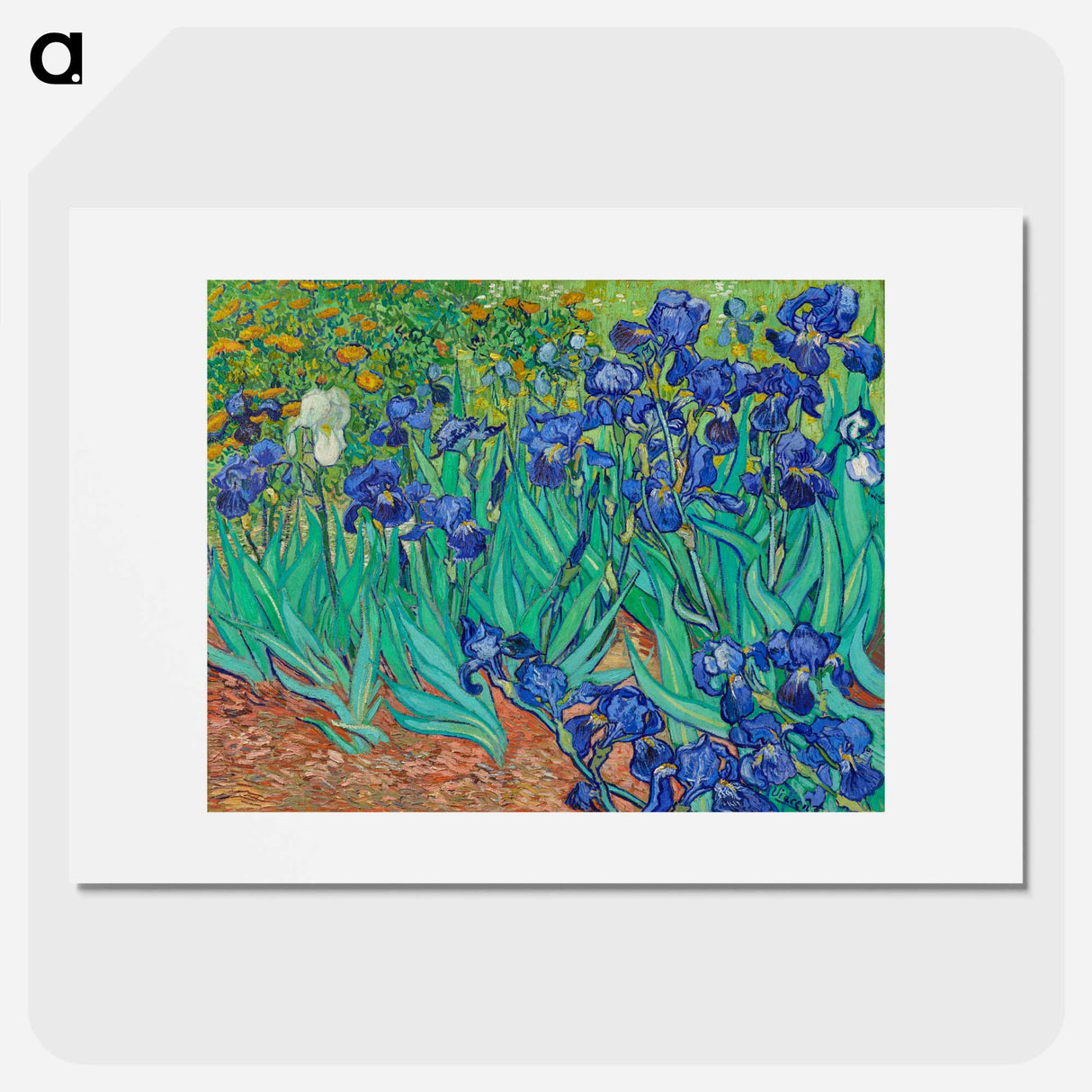 Irises - Vincent van Gogh Poster.