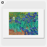 Irises - Vincent van Gogh Poster.