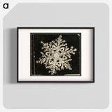 Wilson Bentley Photomicrograph of Stellar Snowflake No. 1093 - ウィルソン ベントレー Poster.