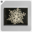 1-26_Wilson-Bentley_canvas