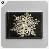 Wilson Bentley Photomicrograph of Stellar Snowflake No. 1093 - ウィルソン ベントレー Canvas.