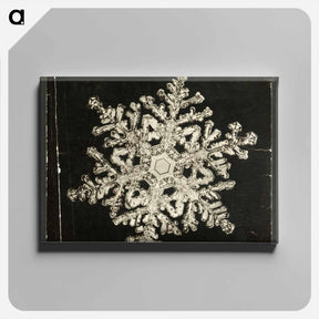 アートパネル-Wilson Bentley Photomicrograph of Stellar Snowflake No. 1093 - ウィルソン ベントレー Canvas.