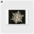 アートポストカード-Wilson Bentley Photomicrograph of Stellar Snowflake No. 1093 - ウィルソン ベントレー Postcard.