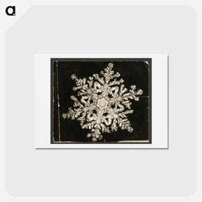 アートポストカード-Wilson Bentley Photomicrograph of Stellar Snowflake No. 1093 - ウィルソン ベントレー Postcard.
