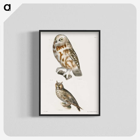 1-26_Zoology-of-New-York_blk-crop