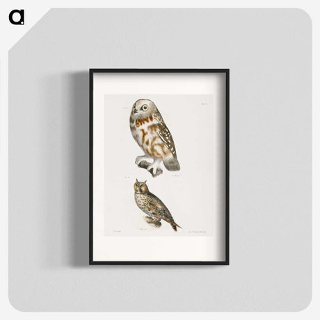 1-26_Zoology-of-New-York_blk