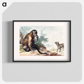 アートポスター-A Monkey Sitting on a Rock Looking at a Civet - アールト シューマン Poster.
