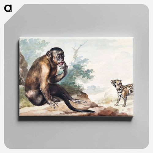 A Monkey Sitting on a Rock Looking at a Civet - アールト シューマン Canvas.